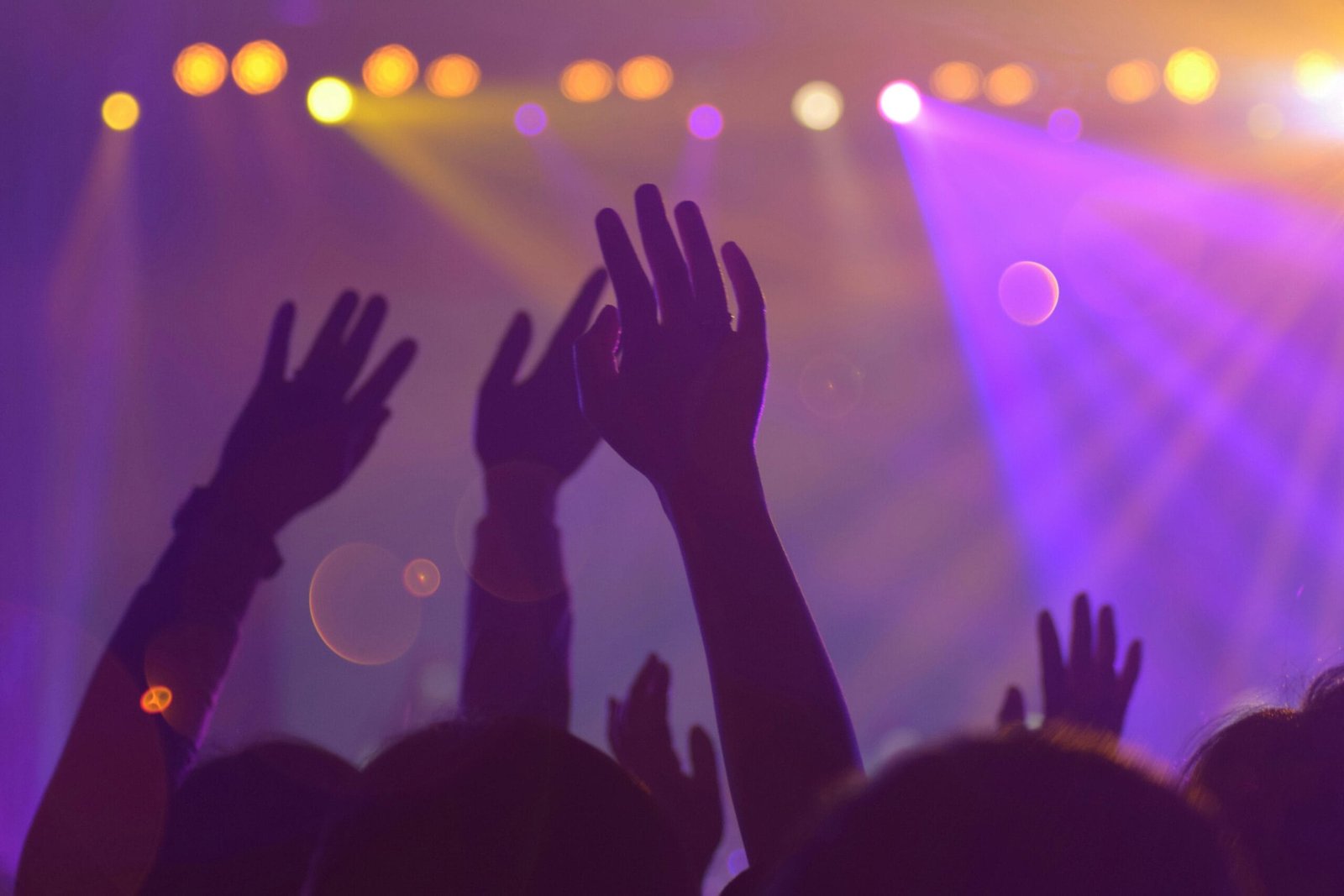 pexels-photo-1587927-1587927 Group of People In A Concert